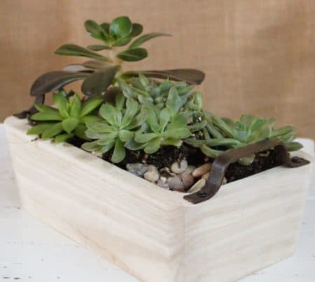Mixing elements of modern and vintage design, this serene assortment of succulents would complement a wide range of decor styles. Created in a tasteful, unfinished wooden container with clean lines that echo the plants growing in it, Simply Succulents proves that simplicity is its own form of beauty.