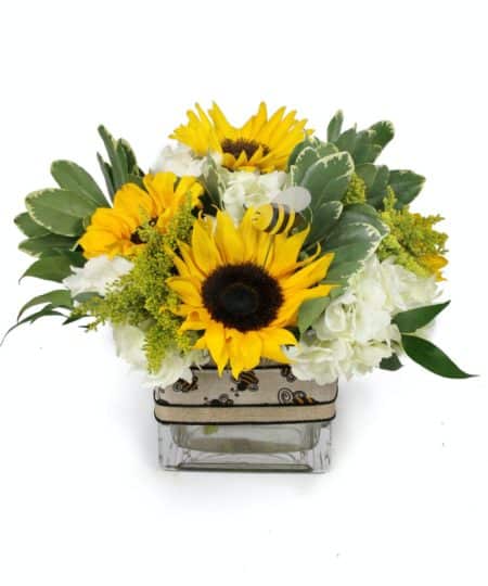 The name says it all Bee-Positive! No matter what they do they cannot mistake the good vibes this bouquet sends! Sunflowers are popping amidst the white hydrangeas. Solidago asters spring out and bring a garden touch. The clear cube has a burlap ribbon with an adorable bee pattern. This is sure to get them buzzing!