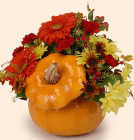 Created in a keepsake ceramic pumpkin, we have put together a collection of fall favorites. Gerber Daisies are accompanied by Autumn Chrysanthemums. Red miniature Carnations and Hypericum berries add the spicy touch to the design. 
