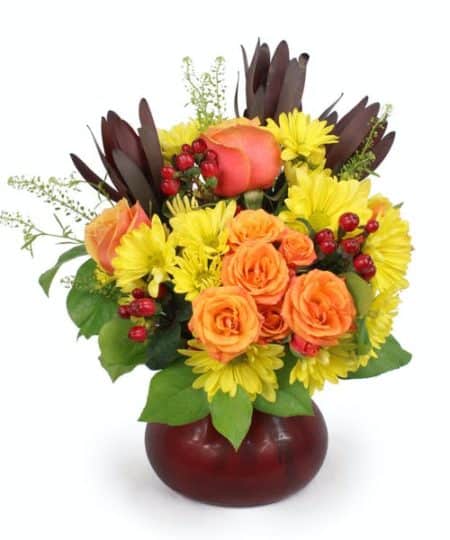 Send Warm Hearted Wishes their way! A radiant bouquet to brighten their day with the colors of the season. Happy yellow Daisy Chrysanthemums provide the background for bright orange Spray Roses and Cherry Brandy full size roses. Accents of red Hypericum Berries and burgundy red Safari Sunset harmonize together and complete the design. The flowers are nestled in a red glass vase, that will look great on a side table or occasional table.
